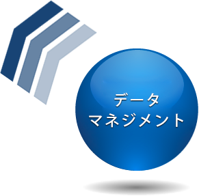 データマネジメント